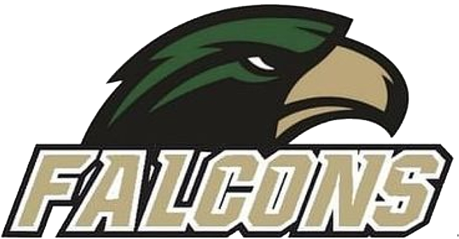Falcons Football Club