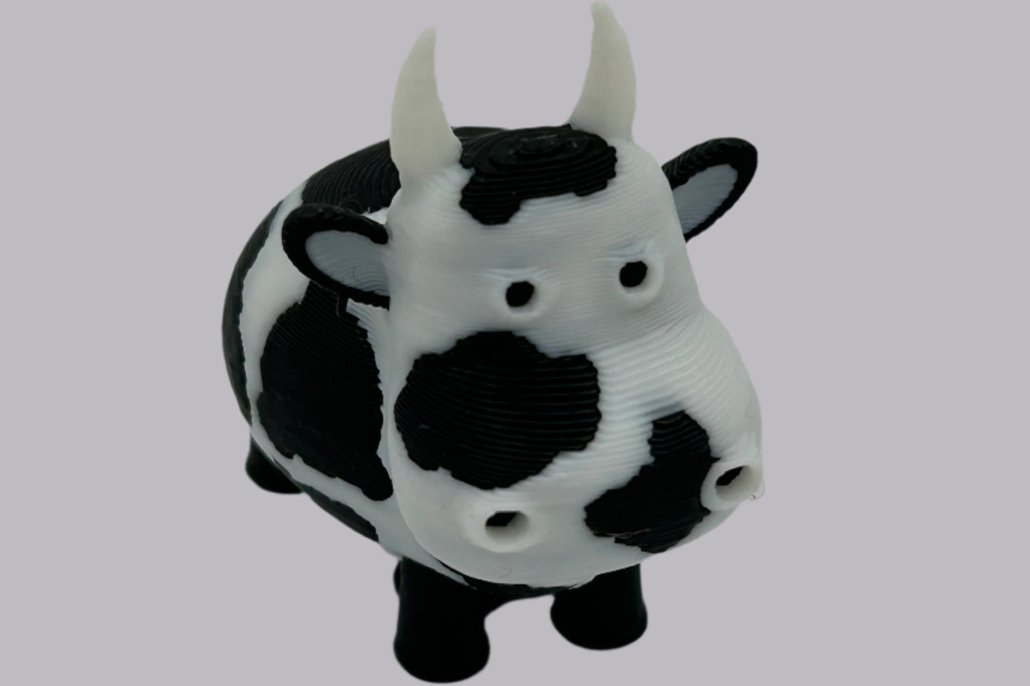 Miniature Cow