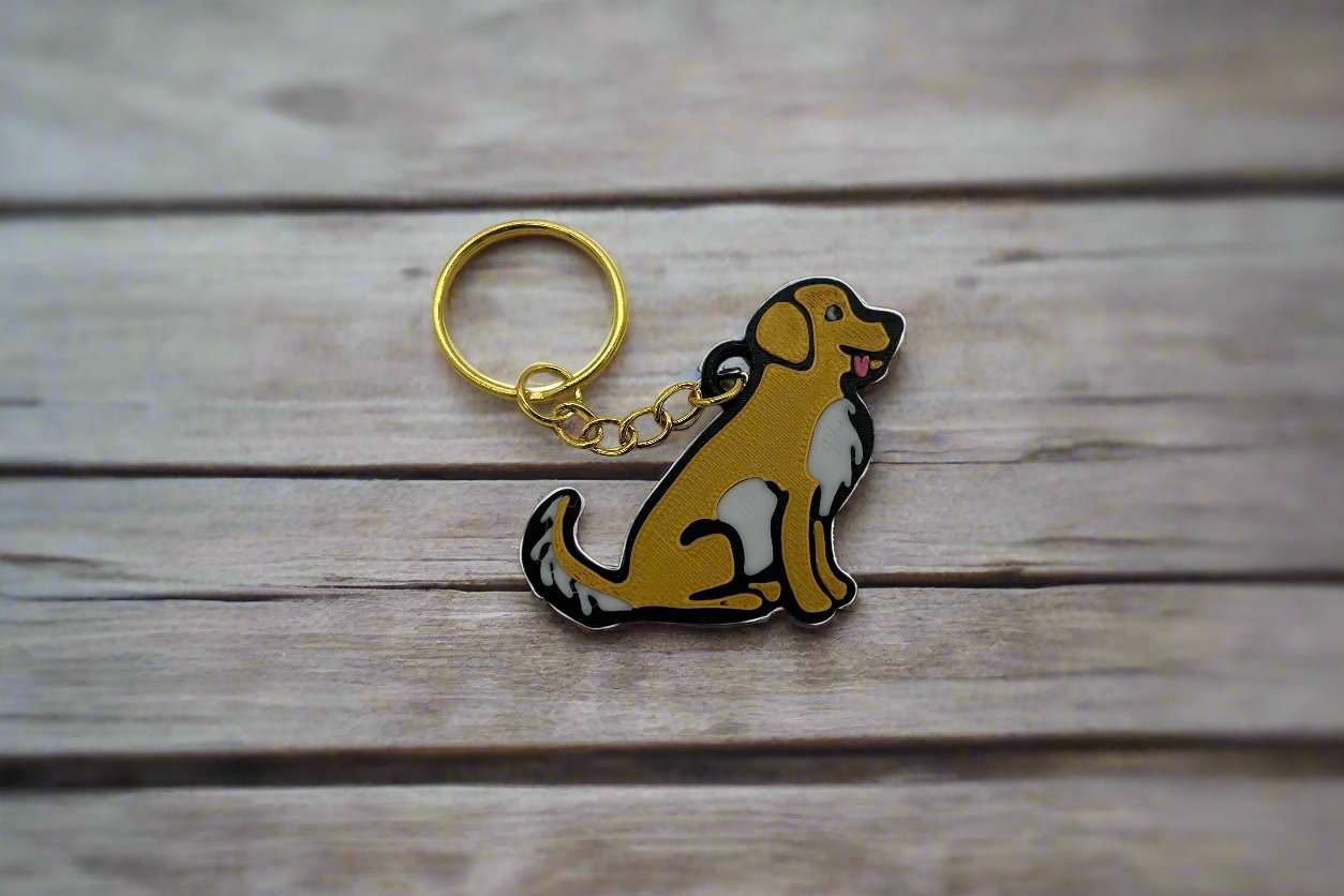 Star the Golden Retriever