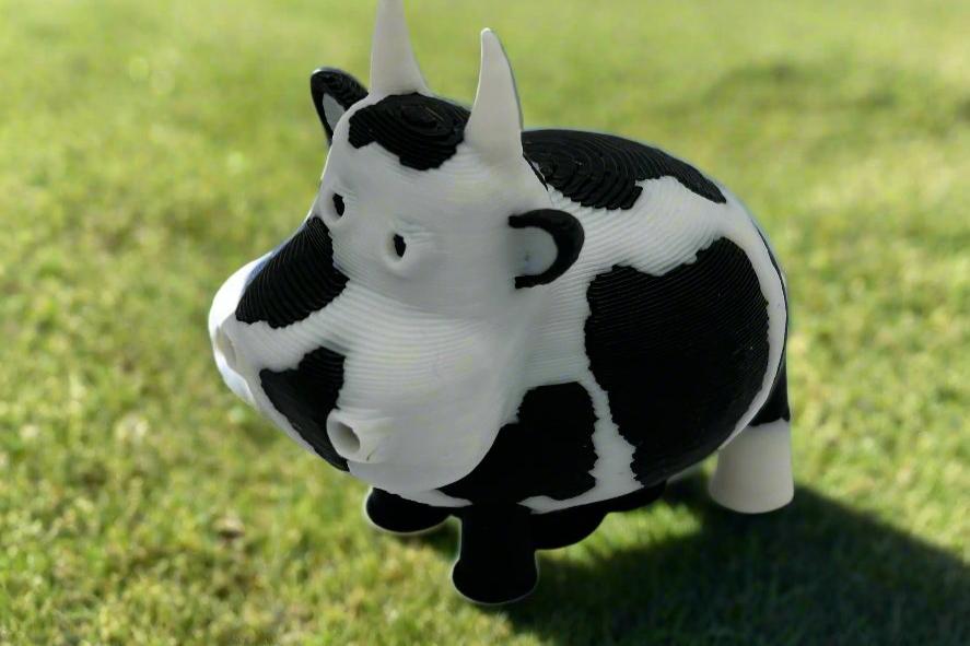 Miniature Cow